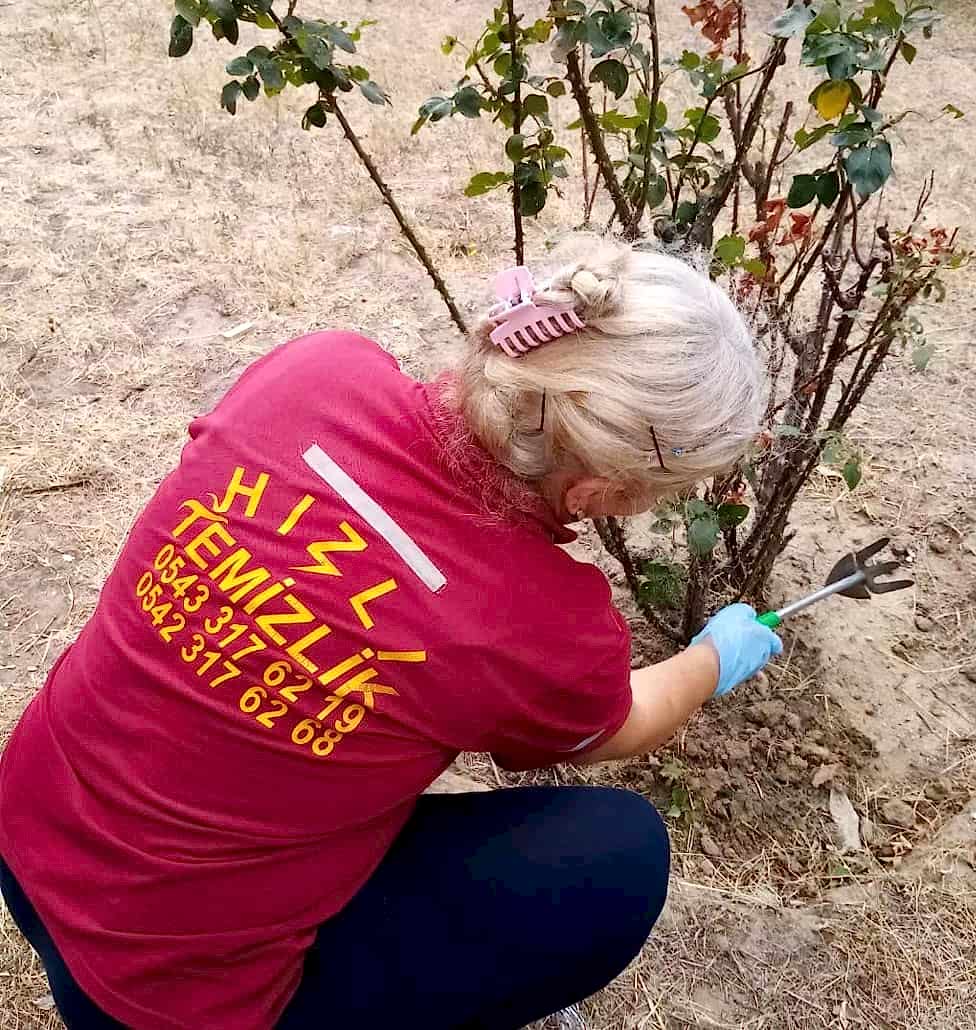 Bahçe Bakımı